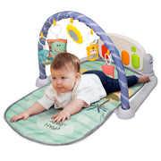 Baby Play Gym with Mat
