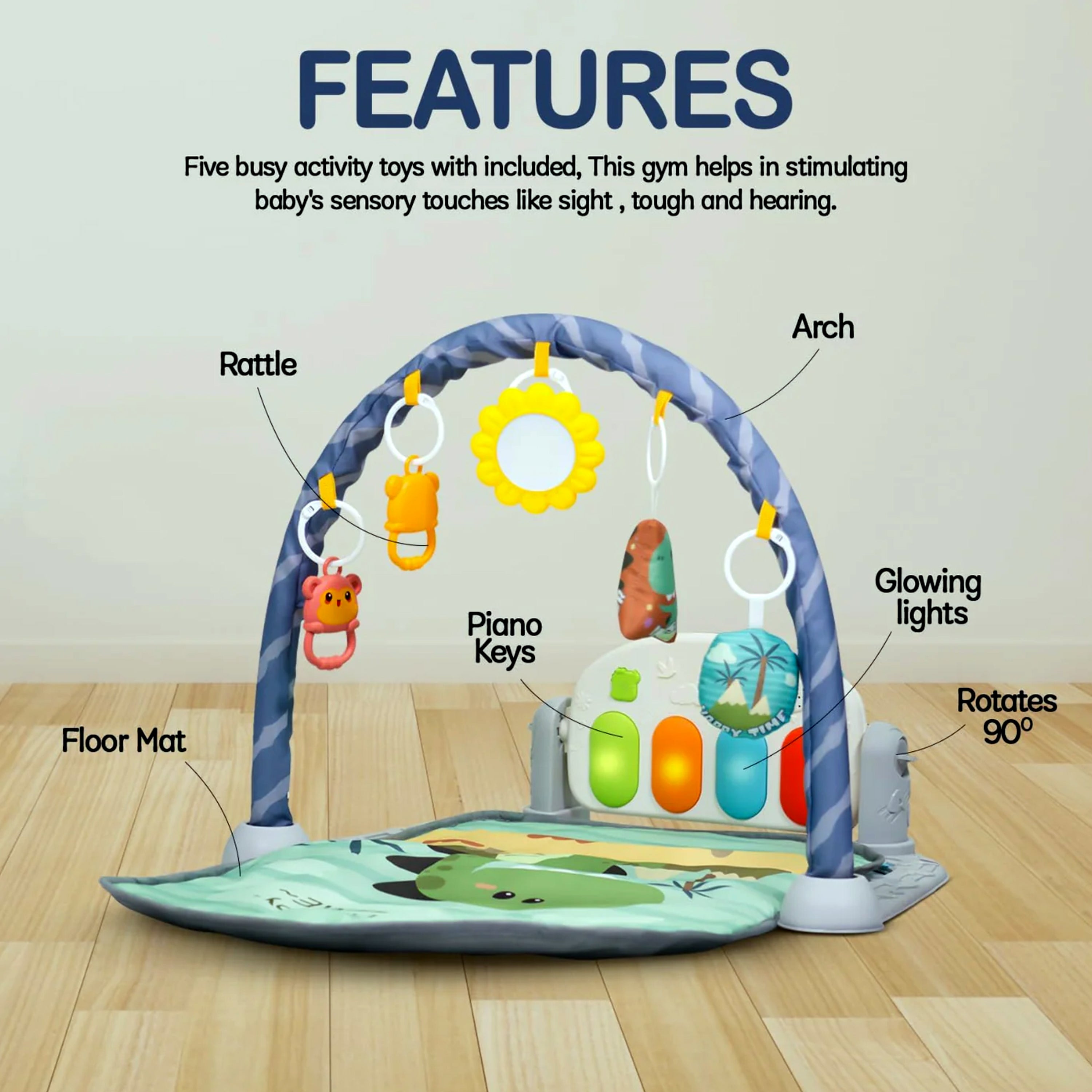 Baby Play Gym with Mat