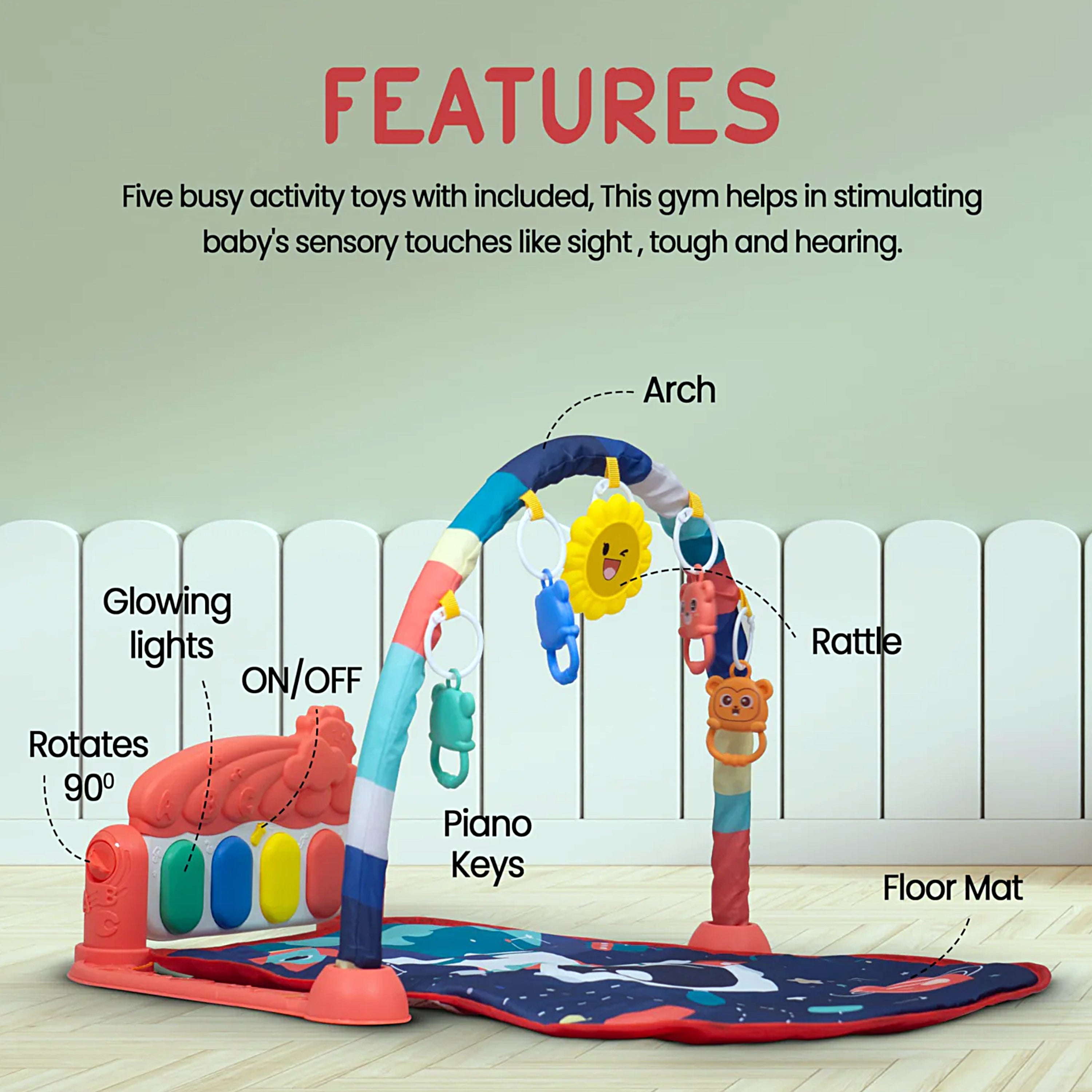 Baby Play Gym with Mat